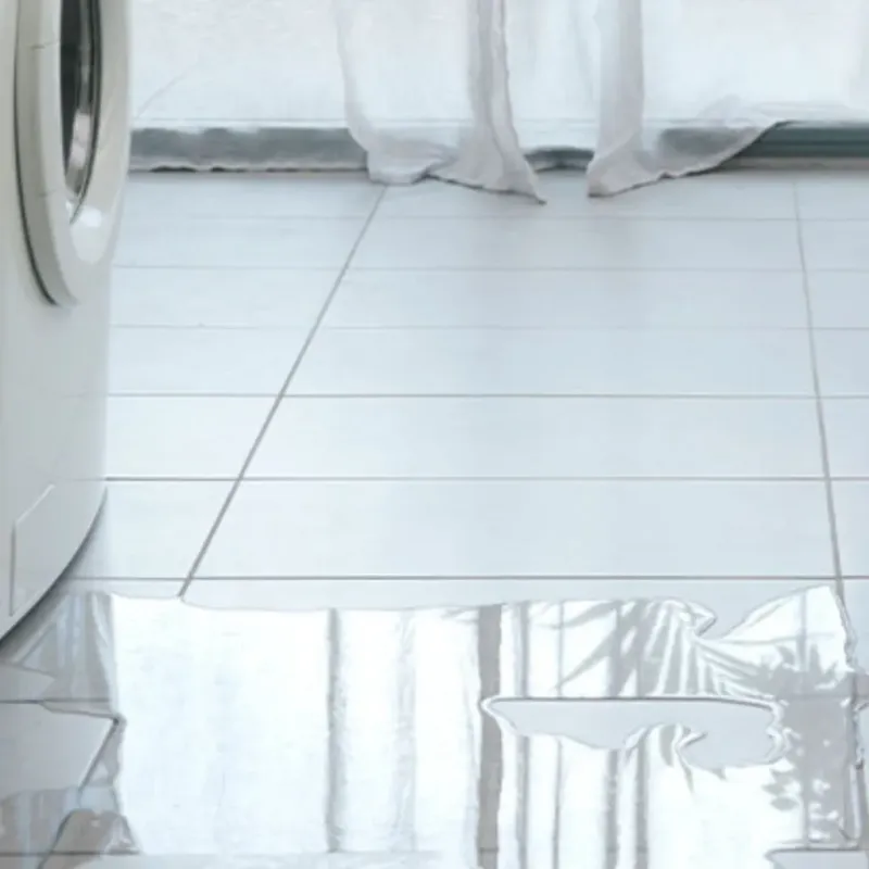 Appliance Leak Cleanup in Clinton, NY